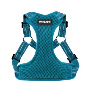 Best Pet Supplies Voyager Adjustable Dog Vest Harness Breathable No Pull Harness for Small, Medium, Large Dogs, Harness for Walking, Jogging, Easy Step-in, Reflective Stripes -...