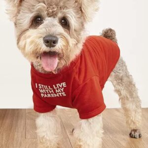 Cute Dog Clothes,Dog T Shirt for Medium Dogs.Dog Clothes for Small Dogs Girl Boy,Puppy.Breathable Soft Dog Costume Pet Dogs Cats,Pet Pullover Jumper,Cat Clothes (M-(7~11lb),...