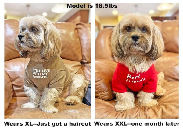 Cute Dog Clothes,Dog T Shirt for Medium Dogs.Dog Clothes for Small Dogs Girl Boy,Puppy.Breathable Soft Dog Costume Pet Dogs Cats,Pet Pullover Jumper,Cat Clothes (M-(7~11lb),...