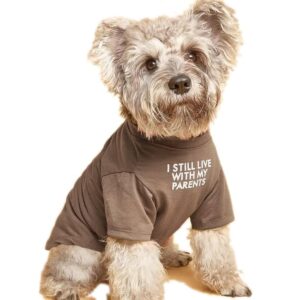 Cute Dog Clothes,Dog T Shirt for Medium Dogs.Dog Clothes for Small Dogs Girl Boy,Puppy.Breathable Soft Dog Costume Pet Dogs Cats,Pet Pullover Jumper,Cat Clothes (M-(7~11lb),...