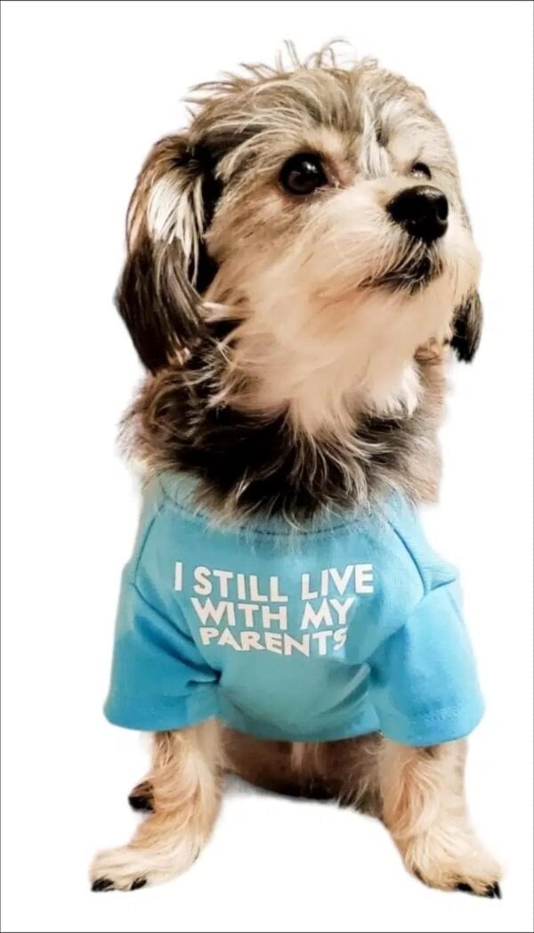 Cute Dog Clothes,Dog T Shirt for Medium Dogs.Dog Clothes for Small Dogs Girl Boy,Puppy.Breathable Soft Dog Costume Pet Dogs Cats,Pet Pullover Jumper,Cat Clothes (M-(7~11lb),...