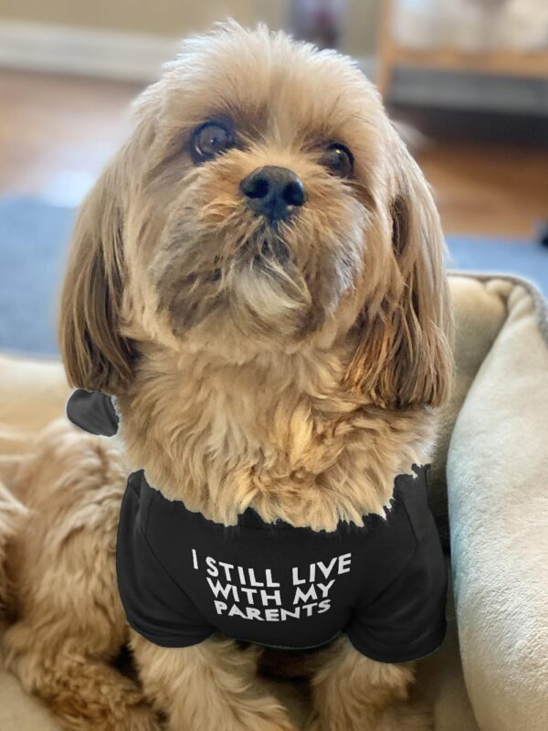 Cute Dog Clothes for Small Dogs Girl, Boy, Puppy. Dog T Shirt for Medium Dog. Breathable Soft Dogs Costume Pet Cats,Pet Pullover Jumper,Cat Clothes...