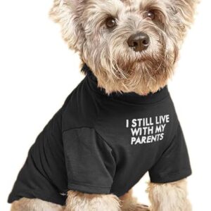 Cute Dog Clothes for Small Dogs Girl, Boy, Puppy. Dog T Shirt for Medium Dog. Breathable Soft Dogs Costume Pet Cats,Pet Pullover Jumper,Cat Clothes...