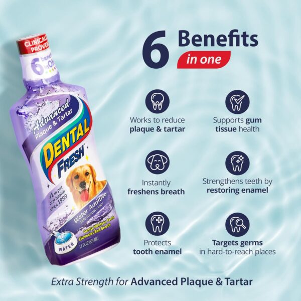 Dental Fresh Advanced Plaque and Tartar Water Additive, 17oz – Dog Teeth Cleaning Formula to Freshen Breath and Improve Cat & Dog Dental Care