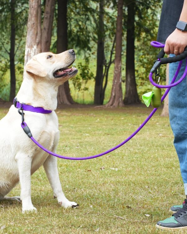 Dynmeow Reflective Dog Collar and Leash Set, 6FT Strong Climbing Rope Leash with Padded Handle, Adjustable Pet Collar with Soft Neoprene Padding for Medium Large Dogs, Purple, M
