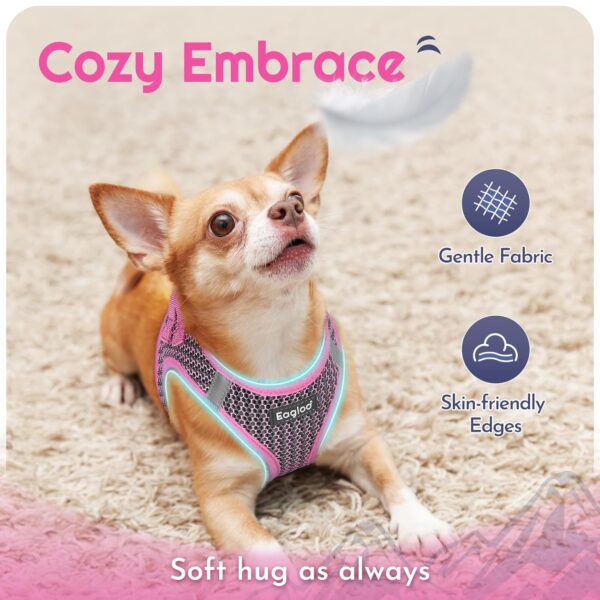 Eagloo Small Dog Harness and Leash Set, Step in Puppy Vest with Breathable Soft Mesh, Walking Reflective Pet Harness for Small Dogs, Pink, S