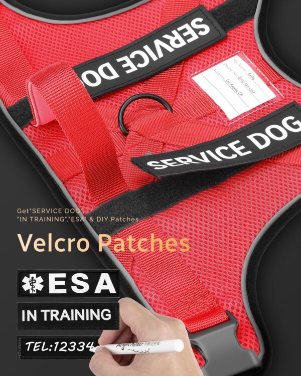 FAYOGOO Service Dog Vest for Large Dogs - Air Mesh Breathble Emotional Support Animal Vest with DIY Removable Patches - Dog Harness and Leash Set Adjustable Neck and Chest(Red,XXL)