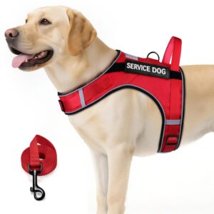FAYOGOO Service Dog Vest for Large Dogs - Air Mesh Breathble Emotional Support Animal Vest with DIY Removable Patches - Dog Harness and Leash Set Adjustable Neck and Chest(Red,XXL)