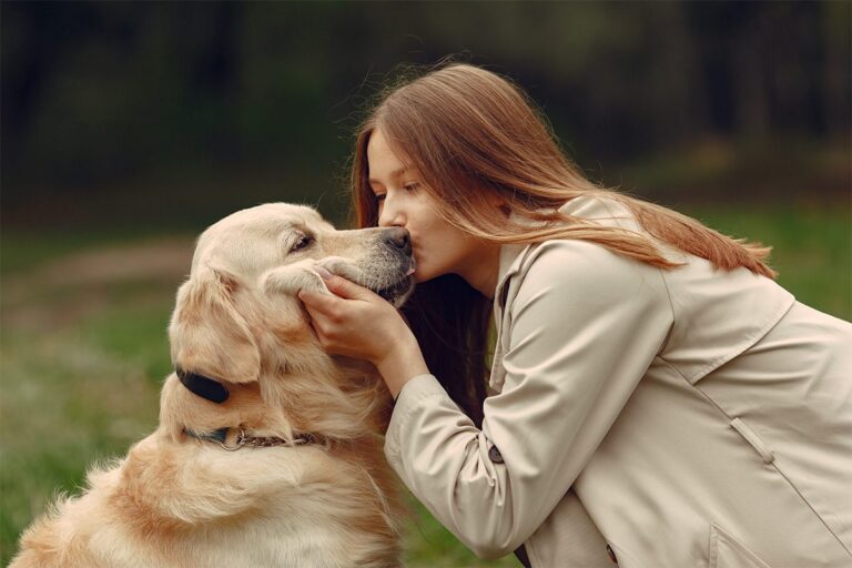 10 Essential Dog Training Tips for Beginners