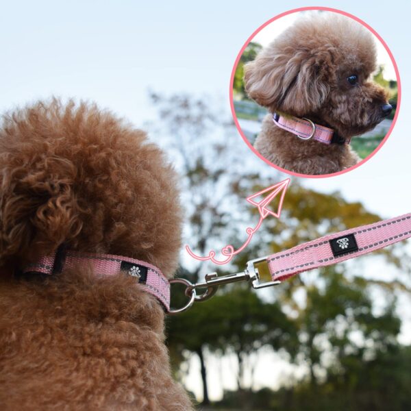 NESTROAD Reflective Dog Collar and Leash Set,Soft Neoprene Pet Collar with Quick Release Buckle,Adjustable Nylon Dog Collars for Small Medium Large Dogs(Medium Collar + 5FT...