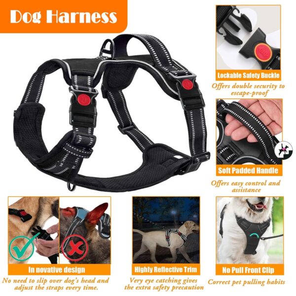 No Pull Dog Harness, Collar & Leash Set | Includes Dog Seat Belt, Collapsible Bowls & Poop Bag Dispenser. Ideal for Training, Walking, Hiking. Fits Small to Large Dogs(Blue-L)