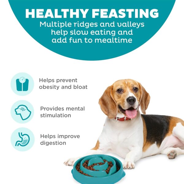 Outward Hound Medium Slow Feeder Bowl, Puzzle Maze for Fast Eaters, Small to Medium Dogs, Helps Prevent Bloat & Aid Digestion, Holds 2 Cups Wet or Dry Food, Non-Slip, Made...