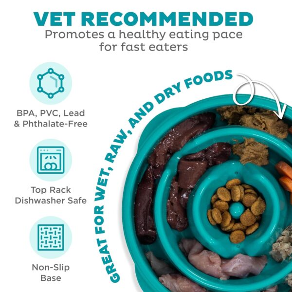 Outward Hound Medium Slow Feeder Bowl, Puzzle Maze for Fast Eaters, Small to Medium Dogs, Helps Prevent Bloat & Aid Digestion, Holds 2 Cups Wet or Dry Food, Non-Slip, Made...
