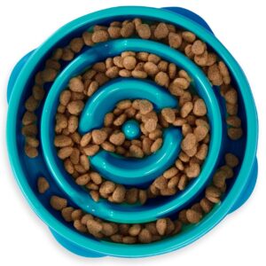 Outward Hound Medium Slow Feeder Bowl, Puzzle Maze for Fast Eaters, Small to Medium Dogs, Helps Prevent Bloat & Aid Digestion, Holds 2 Cups Wet or Dry Food, Non-Slip, Made...