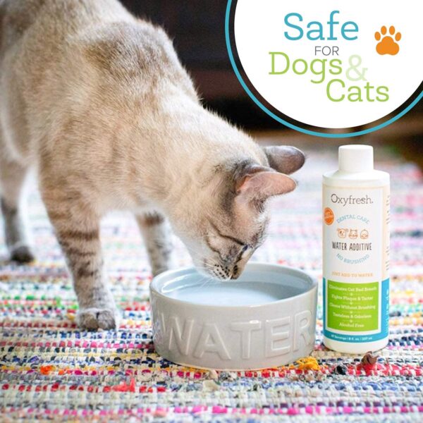 Oxyfresh Premium Pet Dental Care Solution Pet Water Additive: Best Way to Eliminate Bad Dog Breath and Cat Bad Breath - Fights Tartar & Plaque - So Easy, Just Add to Water! Vet...