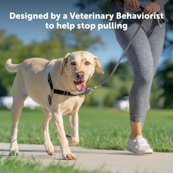 PetSafe Easy Walk Harness for Dogs - Pull-Free Walks - Patented Martingale Loop Design - Front Chest Leash Attachment - Adjustable Comfort Straps - Breathable Harness Design -...