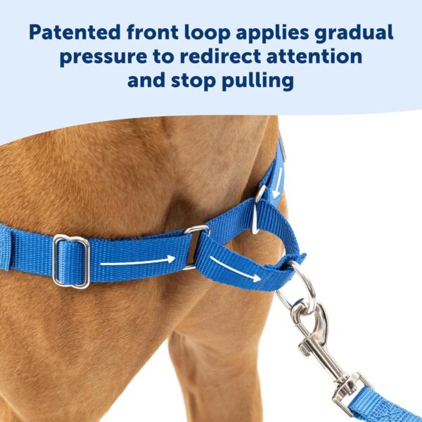 PetSafe Easy Walk Harness for Dogs - Pull-Free Walks - Patented Martingale Loop Design - Front Chest Leash Attachment - Adjustable Comfort Straps - Breathable Harness Design -...