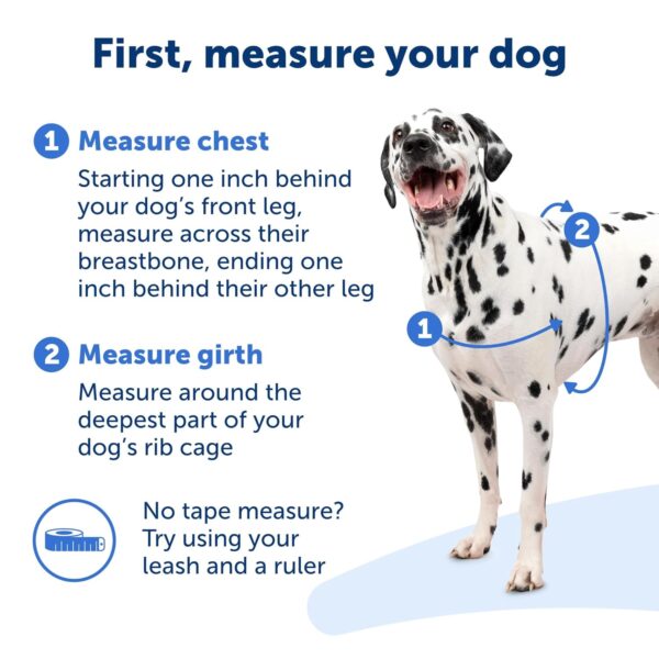 PetSafe Easy Walk Harness for Dogs - Pull-Free Walks - Patented Martingale Loop Design - Front Chest Leash Attachment - Adjustable Comfort Straps - Breathable Harness Design -...