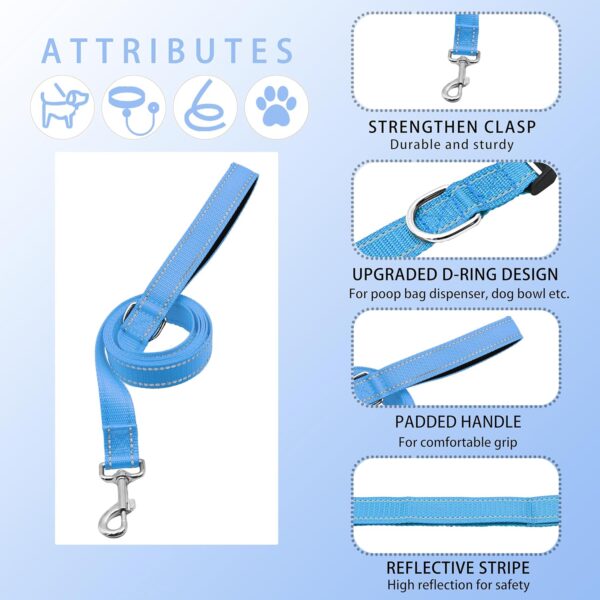 Reflective Dog Collar with Safety Locking Buckle, Adjustable Soft Breathable Nylon Collars for Small, Medium and Large Dogs(Collar+Leash XS Width 5/8" Sky Blue)