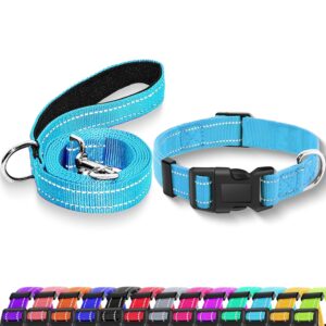 Reflective Dog Collar with Safety Locking Buckle, Adjustable Soft Breathable Nylon Collars for Small, Medium and Large Dogs(Collar+Leash XS Width 5/8" Sky Blue)