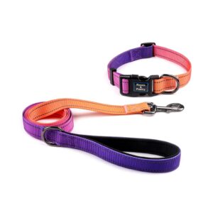 Roses&Poetry Reflective Dog Collar and Leash for Large Dogs, Purple Collars with Leashes Set, Adjustable Durable Pet Personalized Collars Leash for Medium Large Dogs (Mistyrose-L