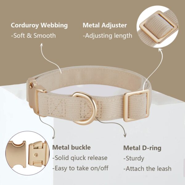 Soft Corduroy Dog Collar and Leash Set Adjustable Durable Wedding Dog Collars with Metal Buckle and Lead for Small Dogs,Beige